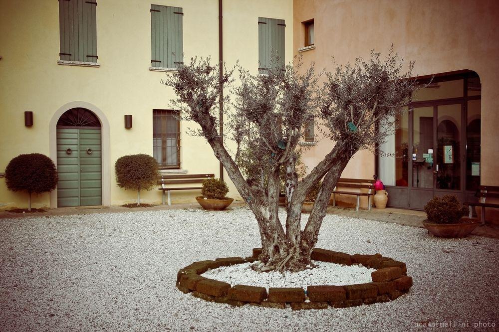 شقة فولتا مانتوفانا  في Agriturismo Cascina Boschi المظهر الخارجي الصورة